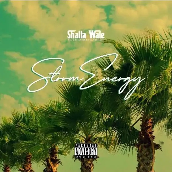 Shatta-Wale Storm Energy
